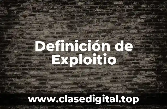 Definición de Exploitio
