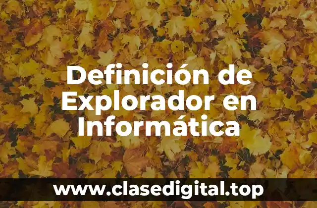 Definición de Explorador en Informática