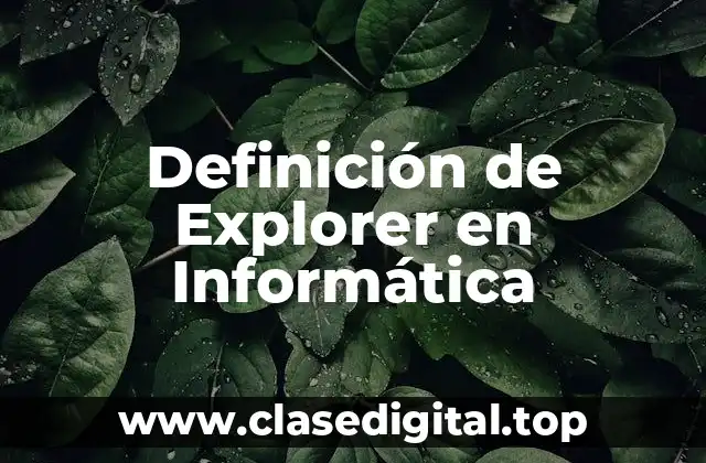 Definición de Explorer en Informática
