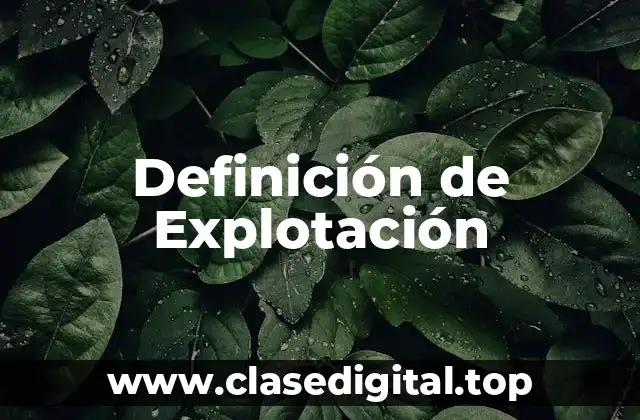 Definición de Explotación