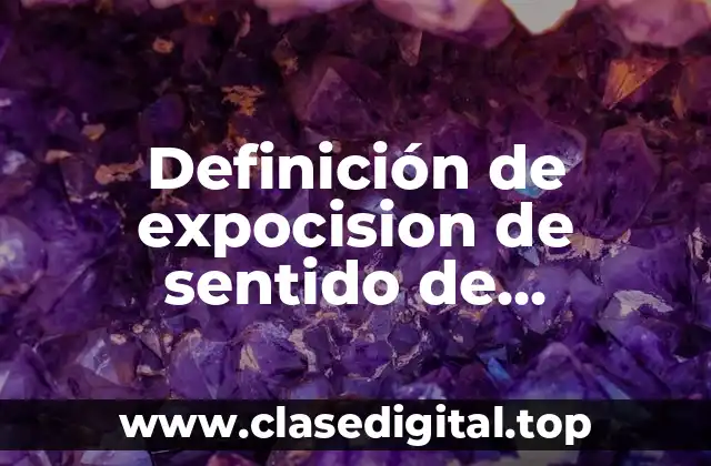 Definición de expocision de sentido de pertenencia a la nación