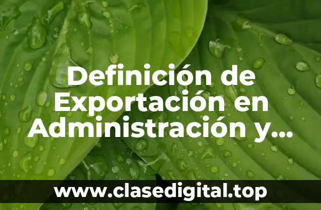 Definición de Exportación en Administración y Economía