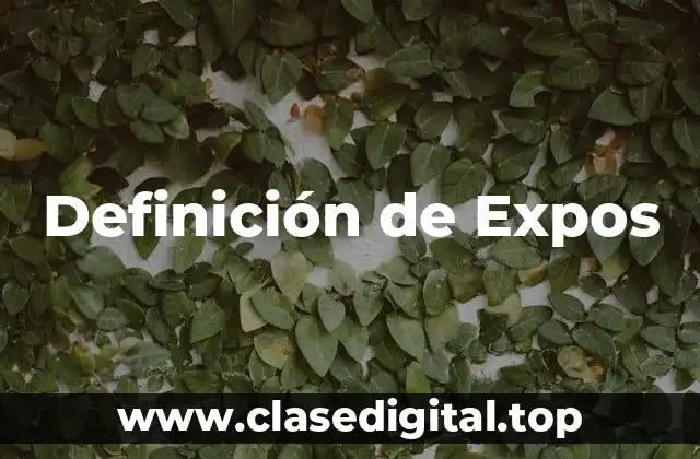 Definición de Expos