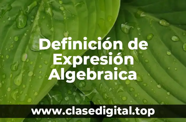 Definición de Expresión Algebraica
