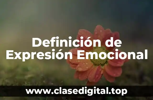 Definición de Expresión Emocional