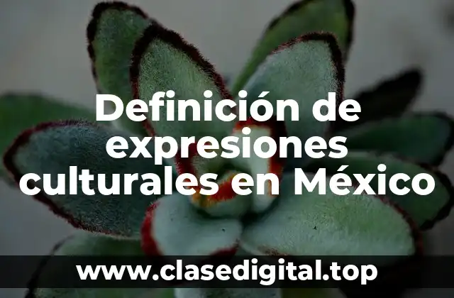 Definición de expresiones culturales en México