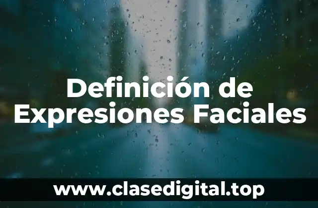 Definición de Expresiones Faciales