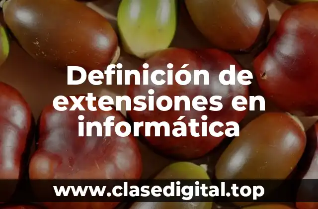 Definición de extensiones en informática