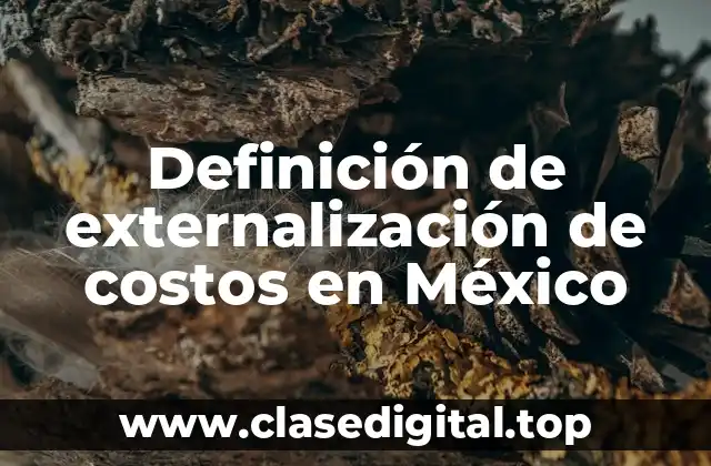 Definición de externalización de costos en México
