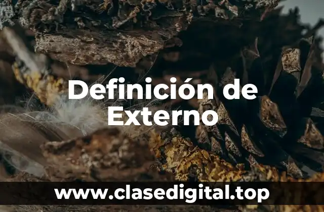 Definición de Externo
