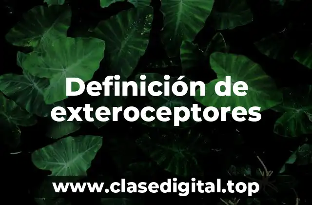 Definición de exteroceptores