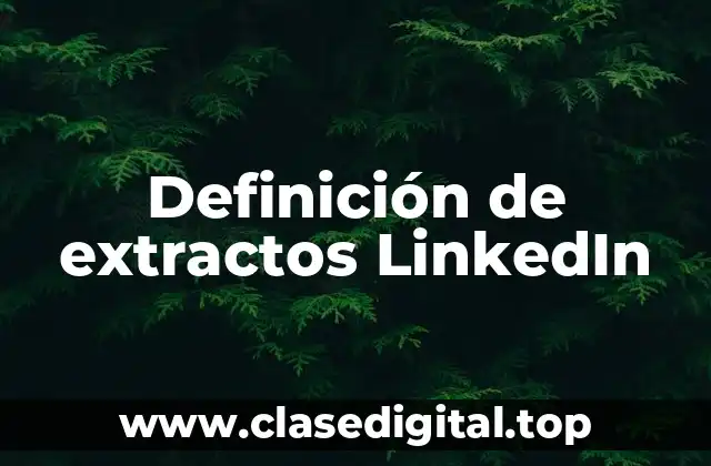 Definición de extractos LinkedIn