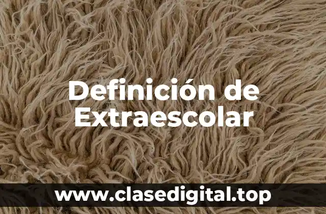 Definición de Extraescolar