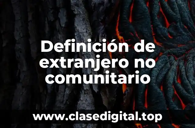 Definición de extranjero no comunitario