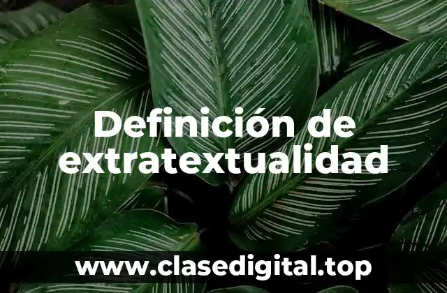 Definición de extratextualidad