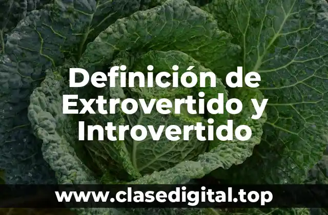 Definición técnica de Extrovertido