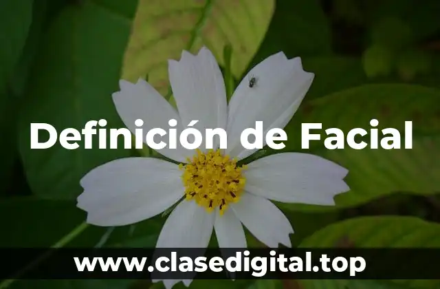 Definición de Facial