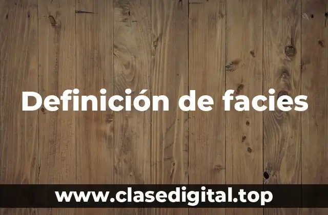 Definición de facies