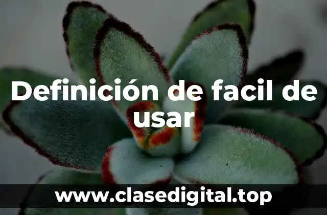 Definición de facil de usar