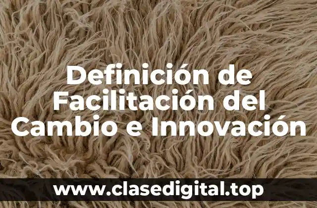 Definición de Facilitación del Cambio e Innovación