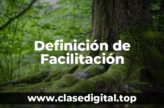 Definición técnica de Facilitación