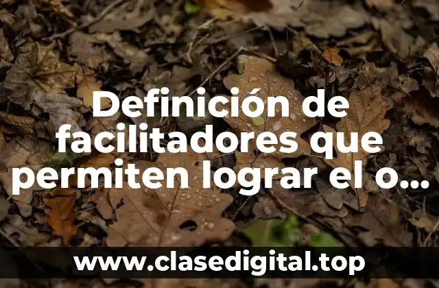 Definición de facilitadores que permiten lograr el o los objetivos