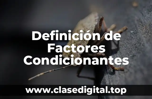 Definición de Factores Condicionantes