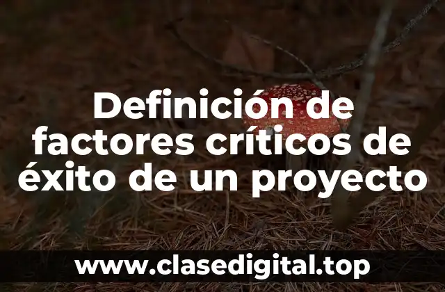 Definición de factores críticos de éxito de un proyecto