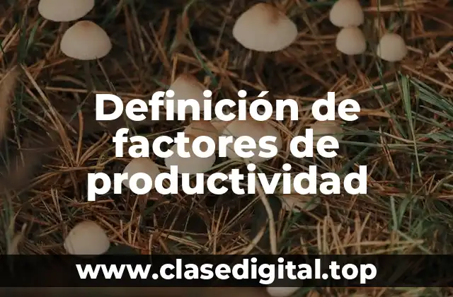 Definición de factores de productividad
