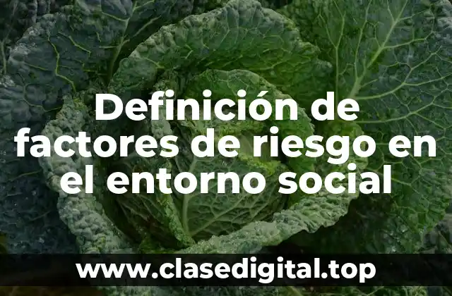 Definición de factores de riesgo en el entorno social