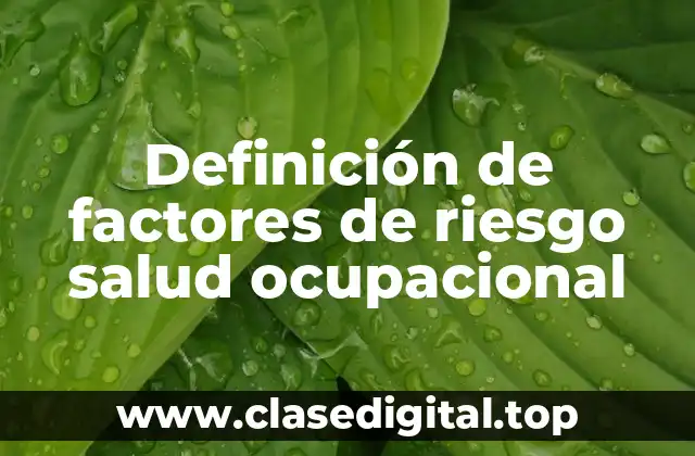 Definición de factores de riesgo salud ocupacional