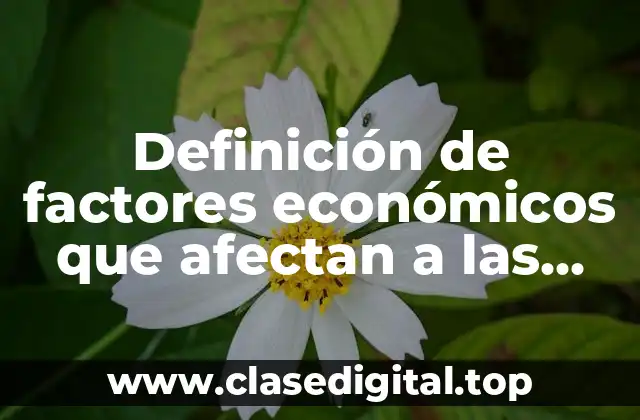 Ejemplos de factores económicos que afectan a las empresas