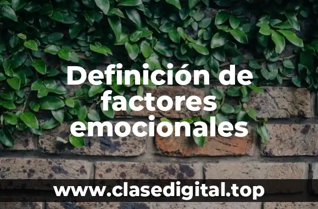 Definición de factores emocionales