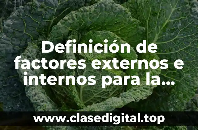 Definición de factores externos e internos para la matriz FODA