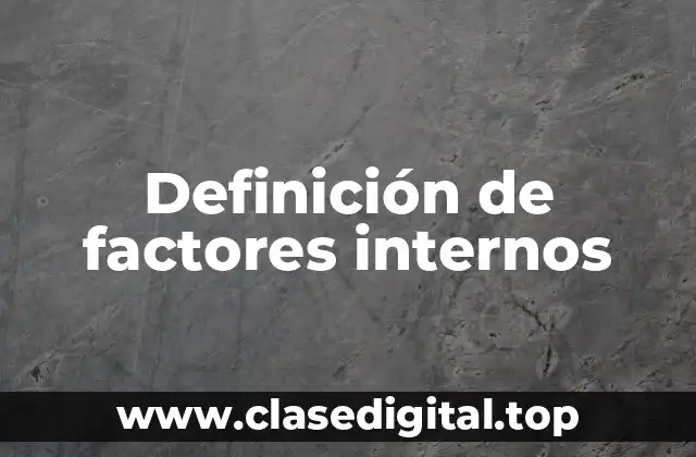 Definición de factores internos
