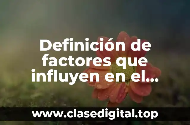 Definición de factores que influyen en el desarrollo