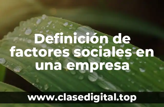 Definición de factores sociales en una empresa