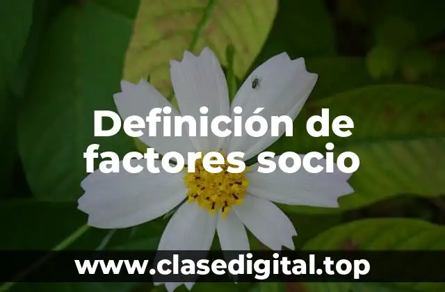 Definición de factores socio