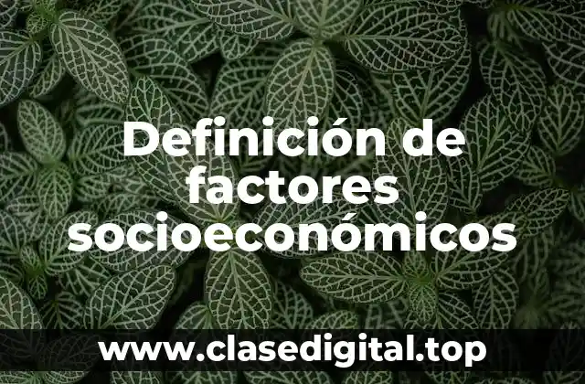 Definición de factores socioeconómicos