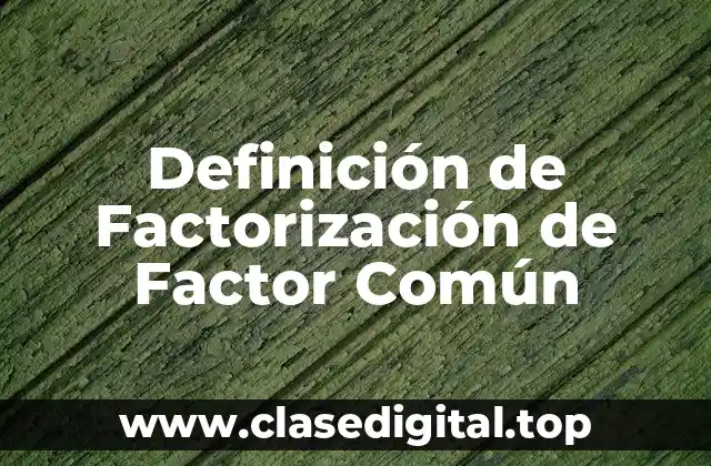 Definición de Factorización de Factor Común