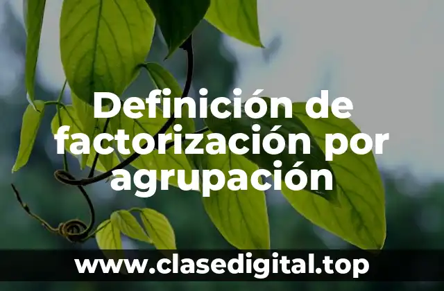 Definición de factorización por agrupación