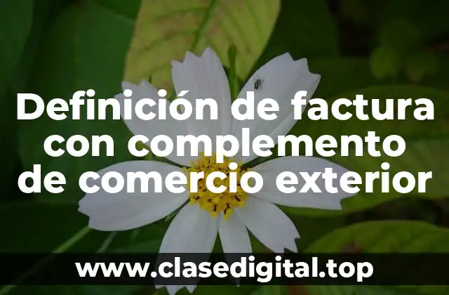 Definición de factura con complemento de comercio exterior