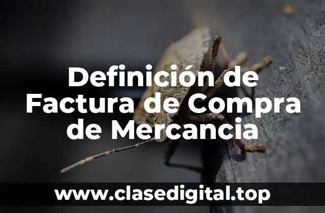 Definición de Factura de Compra de Mercancia