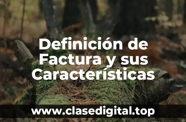 Definición de Factura y sus Características