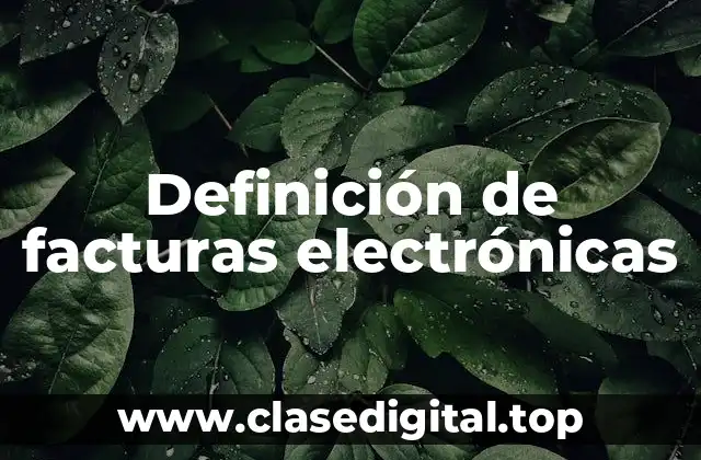 Definición de facturas electrónicas