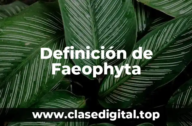 Definición de Faeophyta