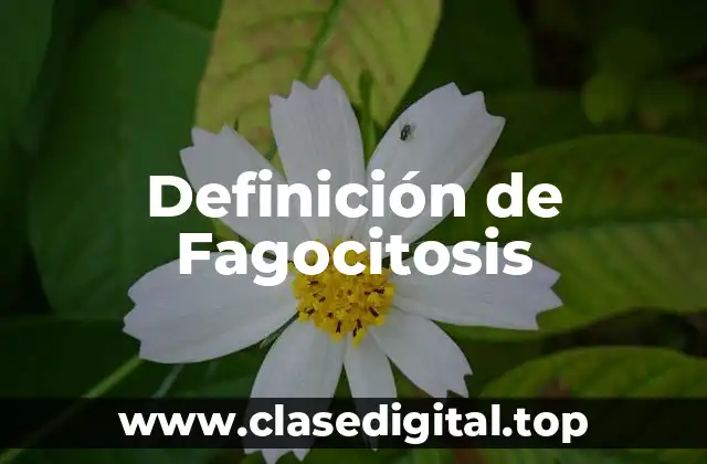 Definición de Fagocitosis