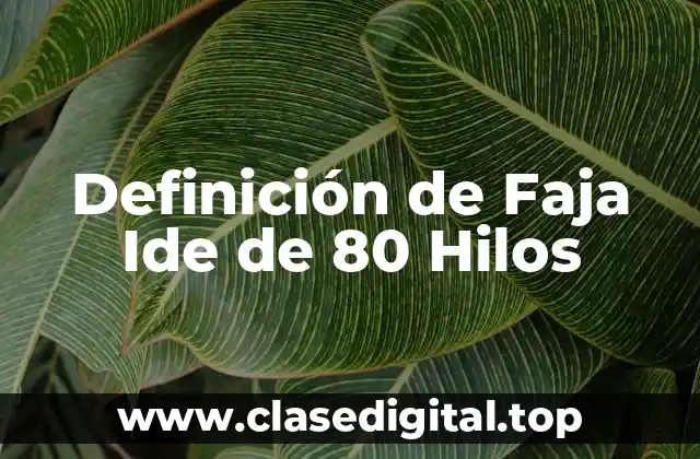 Definición de Faja Ide de 80 Hilos