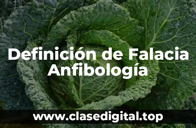 Definición de Falacia Anfibología