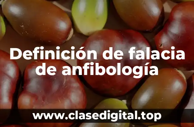 Definición de falacia de anfibología